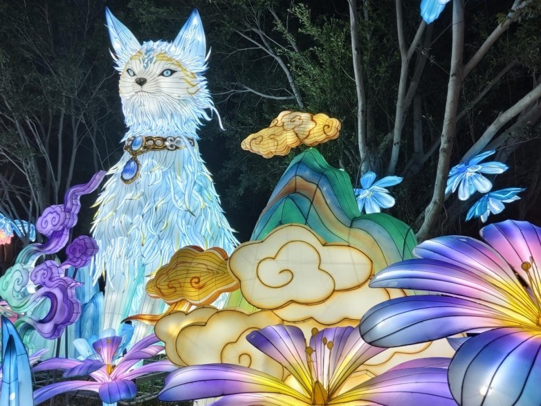 1772266053909561.jpg b6a21f5d-b037-4d57-8865-eef469c5109e.jpg